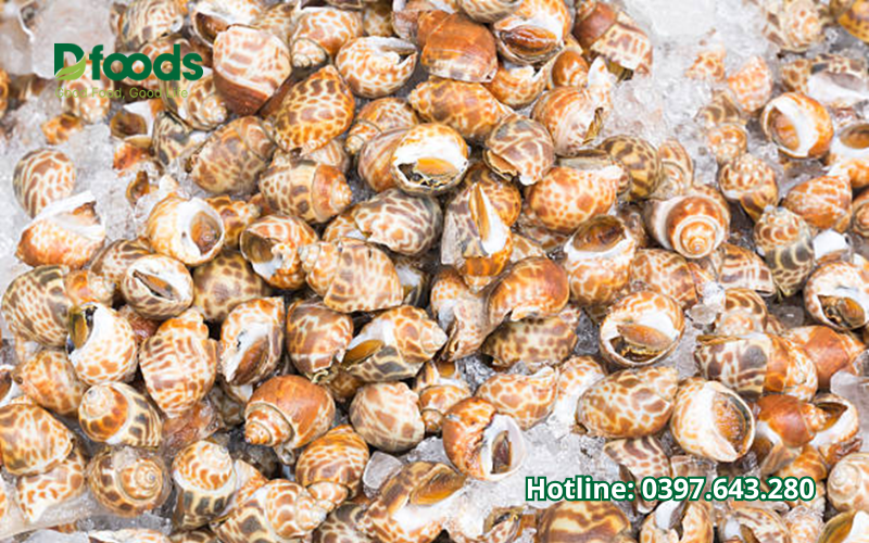 Hải sản nhập khẩu tại DFOODS có đảm bảo an toàn không